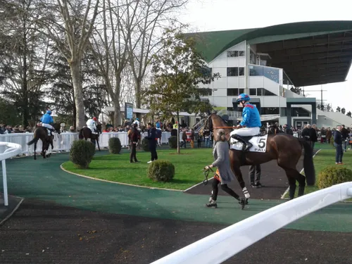 Les pronostics hippiques pour ce dimanche 4 février